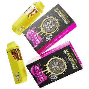 GMO Mavricks | HYBRID